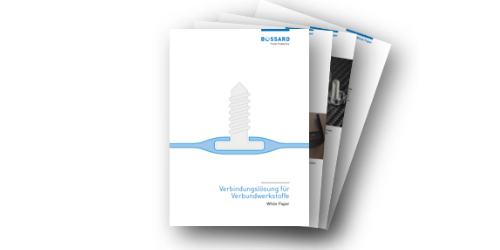 bigHead White Paper