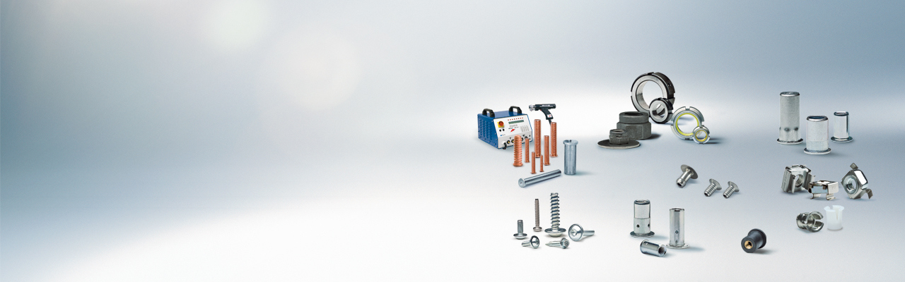 HBMs_FASTEKS_Group_2017